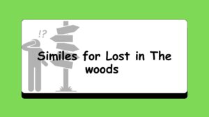 Similes for Lost in The woods