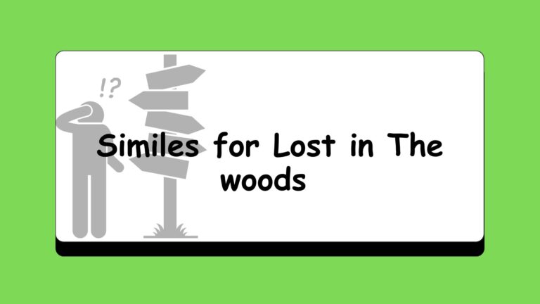 Similes for Lost in The woods
